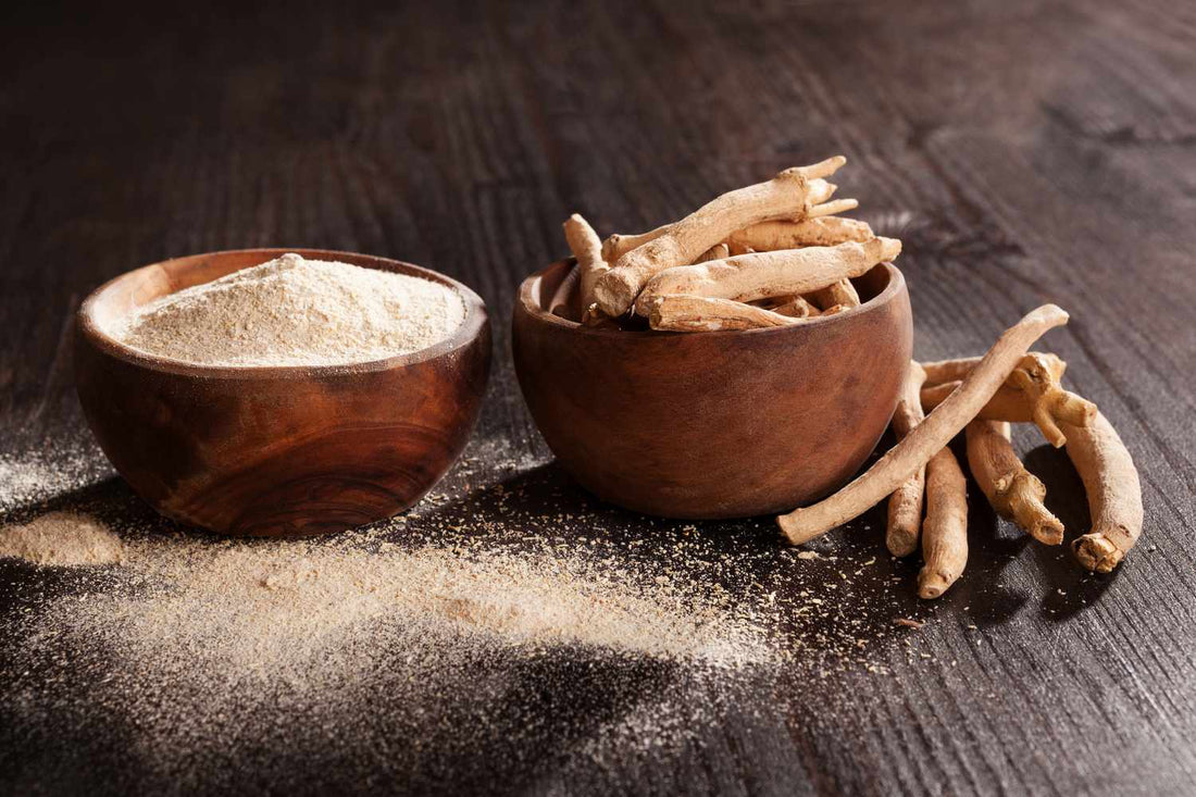 Ashwagandha: The Ancient Herb of Strength, Balance & Everyday Wellness