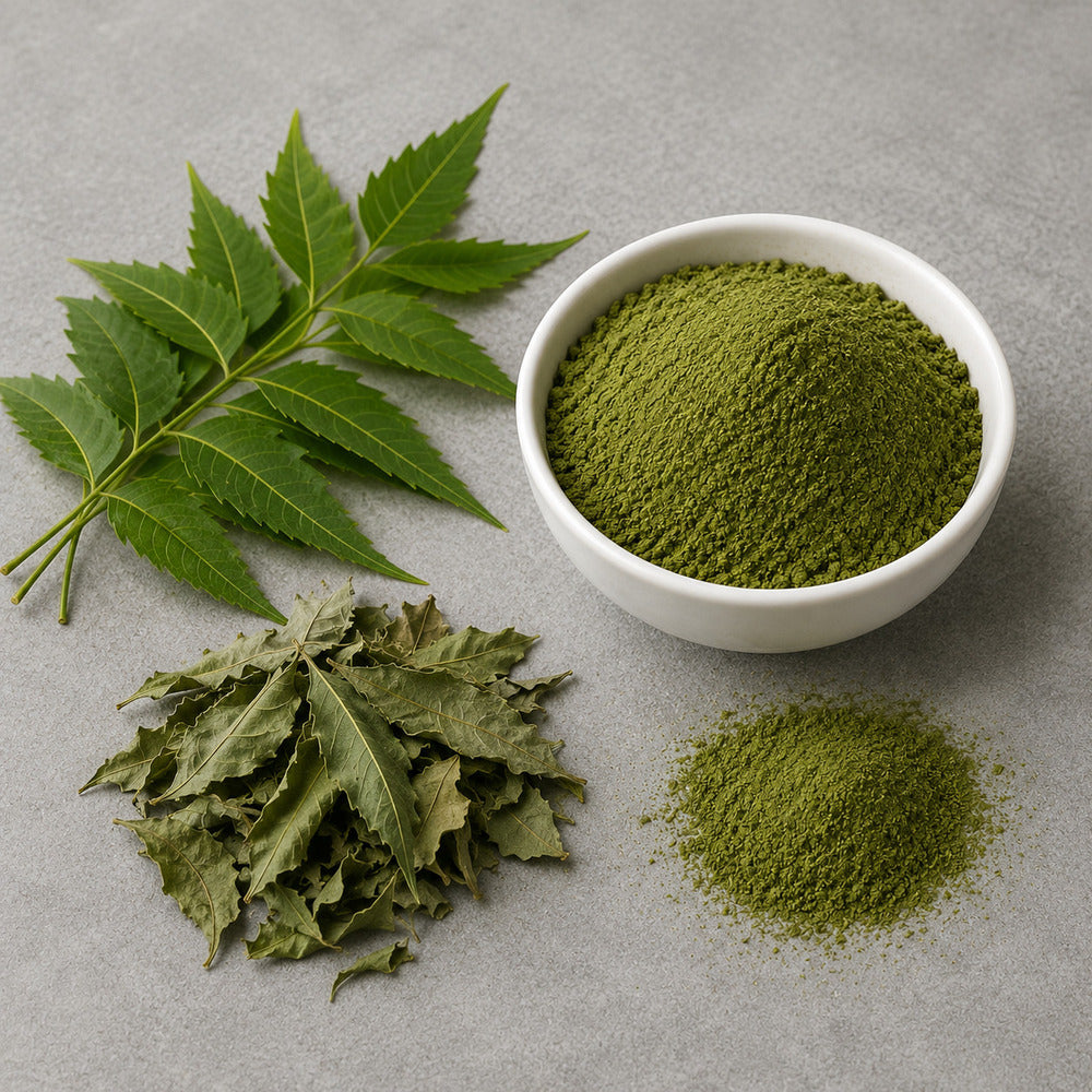 Neem leaves and neem tree botanical benefits and traditional uses by Elixoria Herbs.