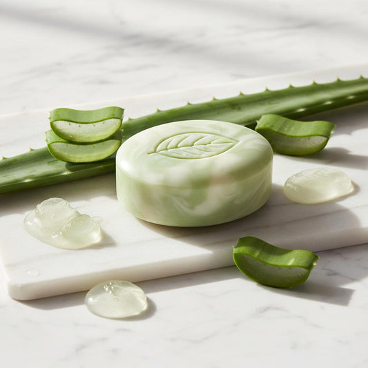 Aloe vera handmade soap bar styled with fresh aloe vera leaves by Elixoria Herbs.